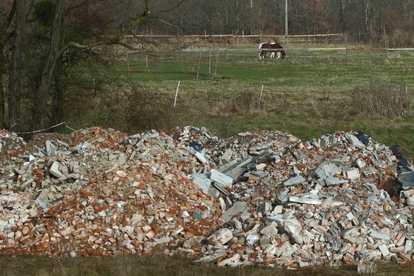 Rozpoczęły się prace nad budową Alei Wielkiej Wyspy