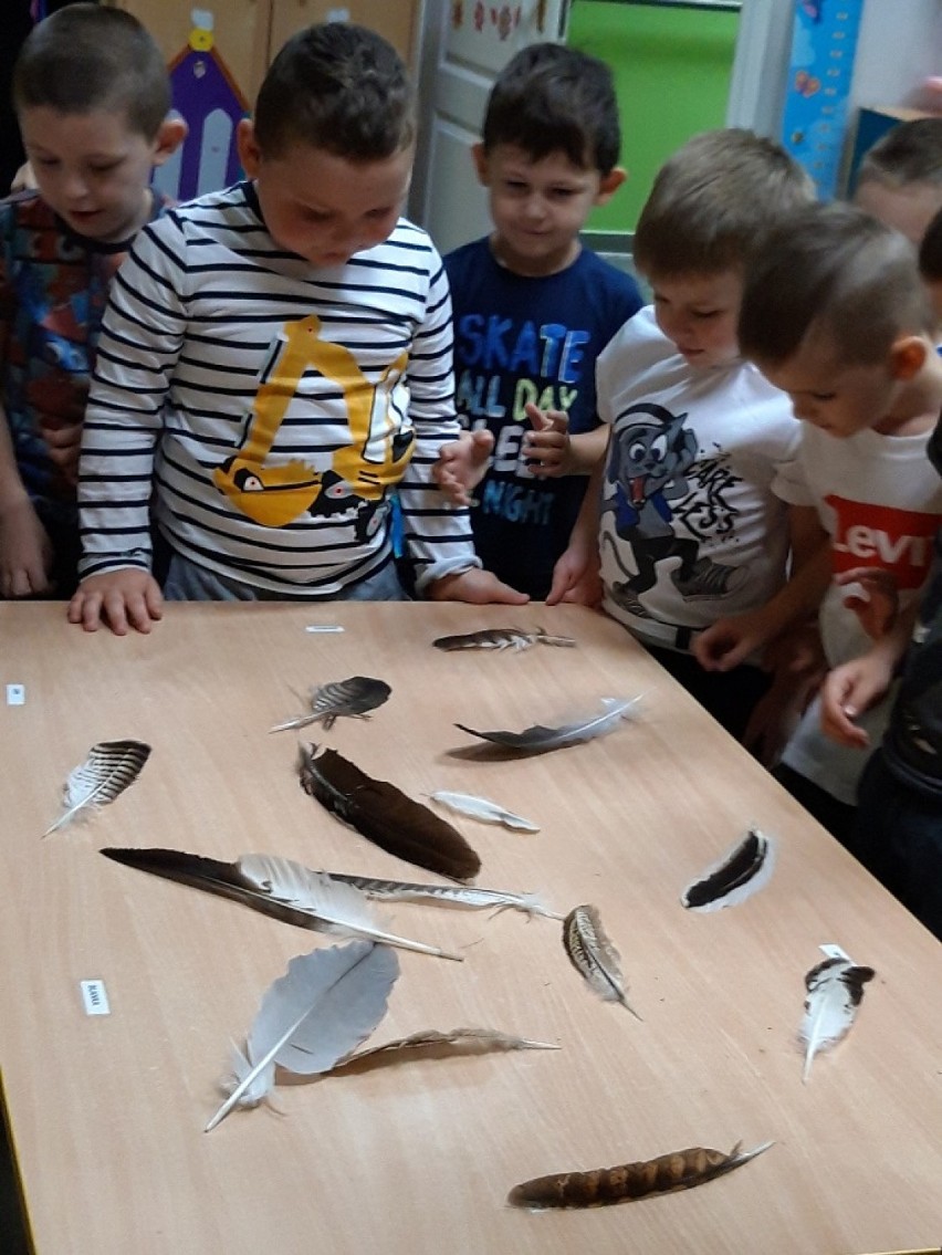 Przedszkolaki i sekretne życie ptaków          