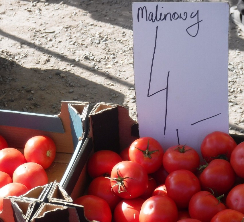 Pomidory malinowe kosztowały 4 złote za kilogram
