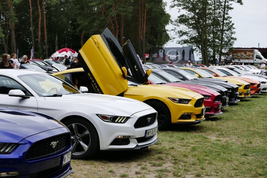 Mazowiecki Zlot Mustangów. Legendarne amerykańskie samochody zaprezentowano nad Zalewem Zegrzyńskim. Tłumy na miejscu