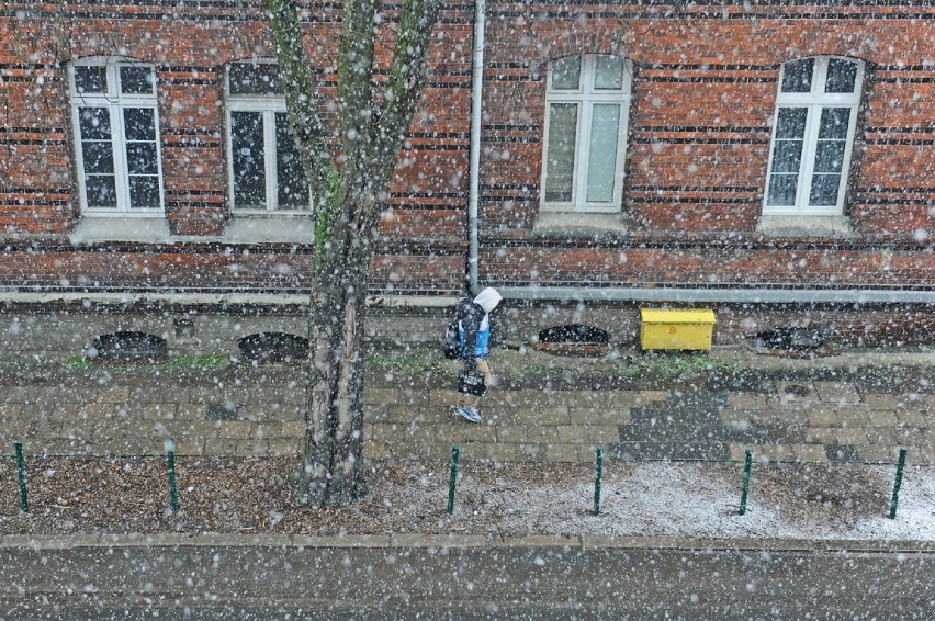 Obfite opady śniegu w Poznaniu
