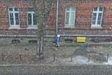 Pogoda w Poznaniu: Obfite opady śniegu. Do kiedy będzie sypać? [ZDJĘCIA]