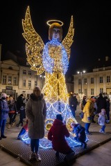 Bydgoszcz gotowa na święta! Lampki choinki na Starym Rynku zapalone, świąteczne iluminacje także [zdjęcia]