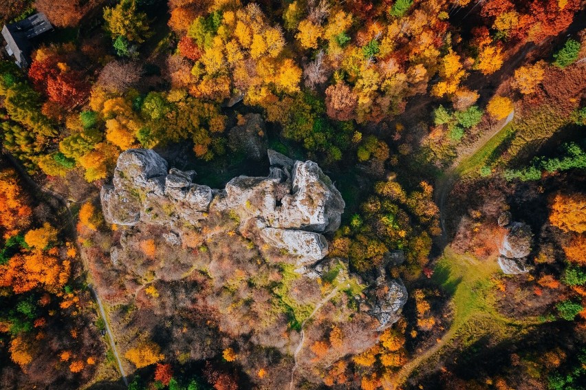 Rezerwat Góry Zborów. Zobacz kolejne zdjęcia. Przesuwaj...