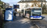 Wszystkich Świętych 2022. Komunikacja miejska w Bydgoszczy - będą zmiany w kursowaniu autobusów i tramwajów