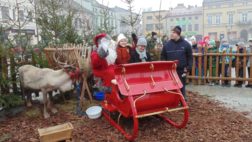  Mikołaj na Rynku w Oświęcimiu. Tłumy były zobaczyć renifery i spotkać się z darczyńcą