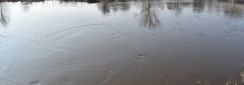 Mężczyzna będący pod wpływem alkoholu postanowił popływać w Prośnie