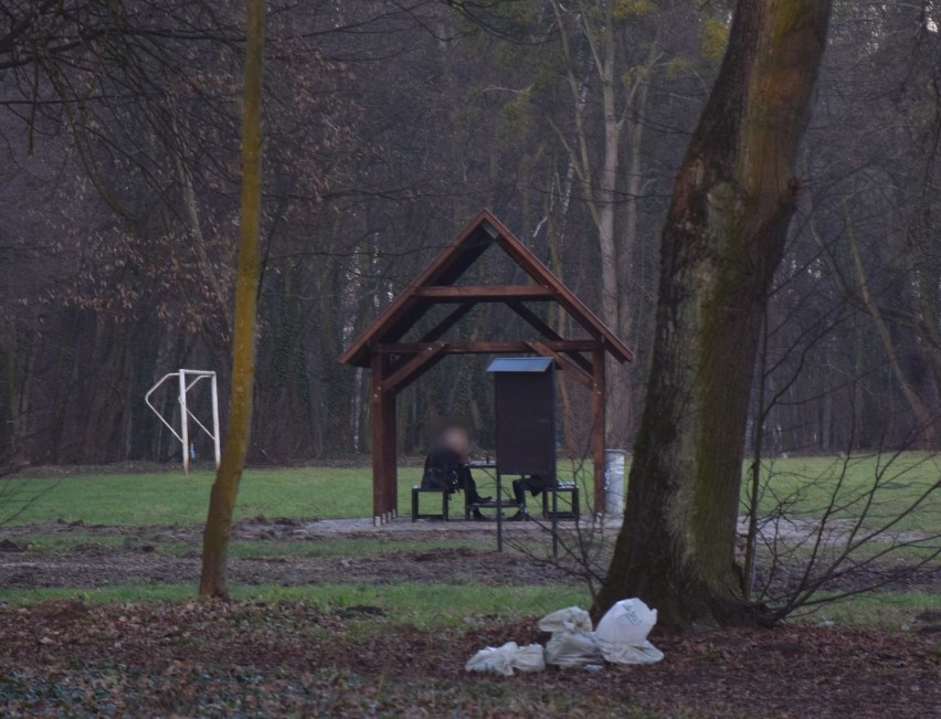 Malbork. Piknik w parku możliwy, ale bez alkoholu. Na "polanie" powstało miejsce do odpoczynku [ZDJĘCIA]