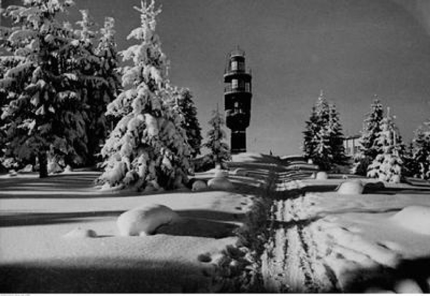 Góra Parkowa w Krynicy - widoczna wieża obserwacyjna....