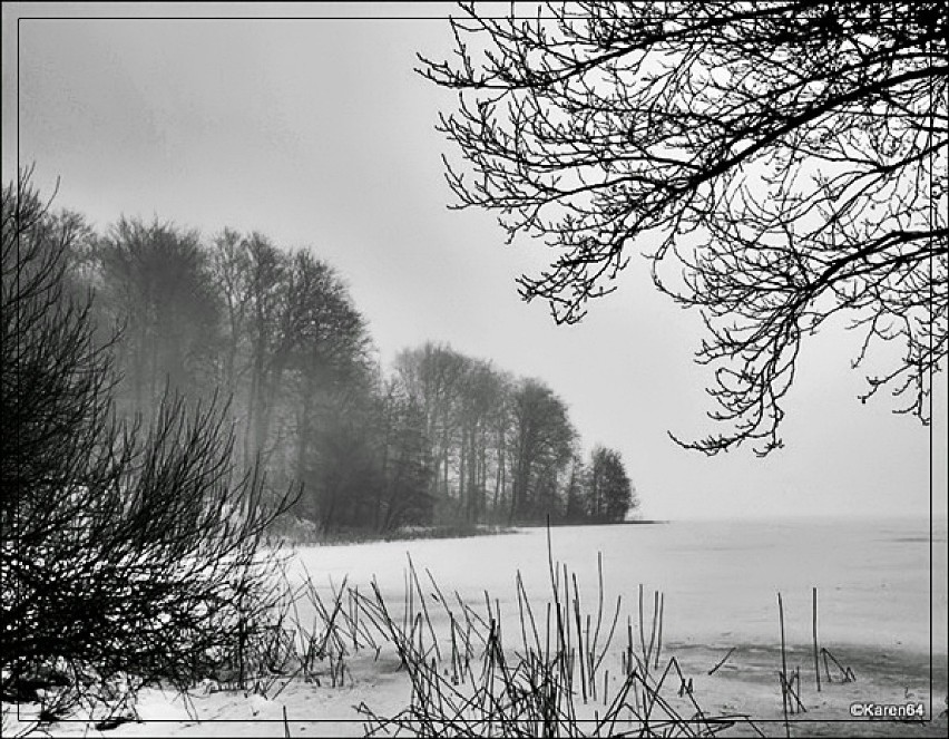 Zimowa mgła nad Jeziorem Klasztornym