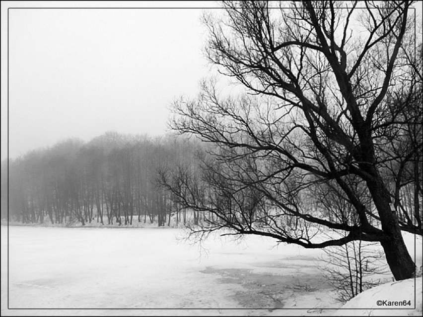 Zimowa mgła nad Jeziorem Klasztornym