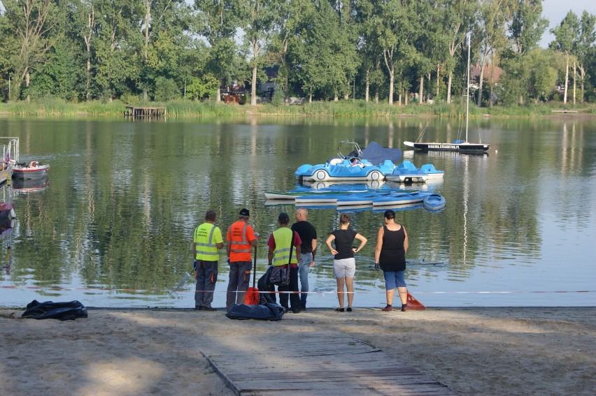 Co dalej z Jeziorem Średzkim? Zwołano sztaby kryzysowe