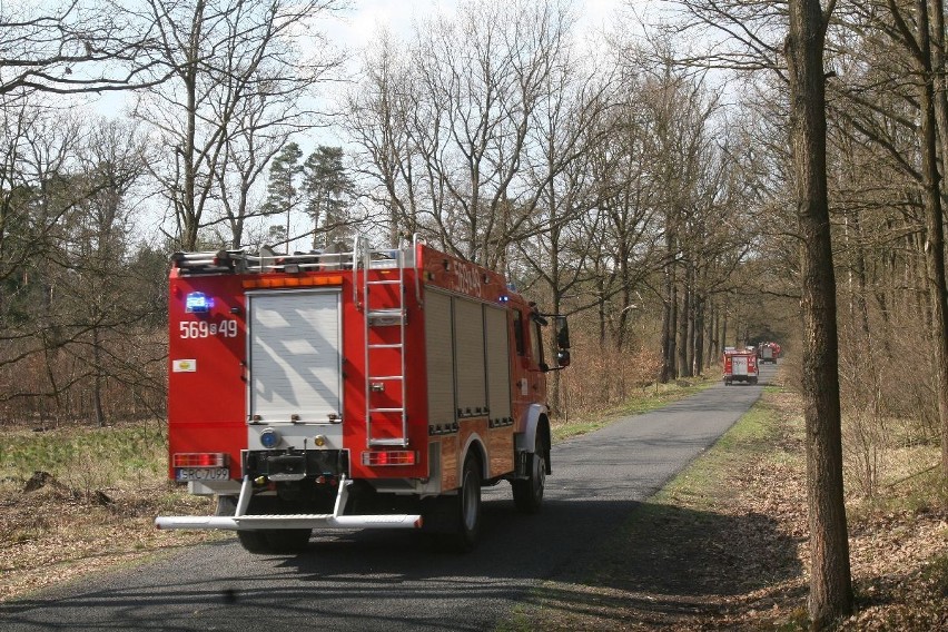 Pożar lasu w Rudach. Spaliło się 20 hektarów. KTO ZAWINIŁ. NOWE FAKTY