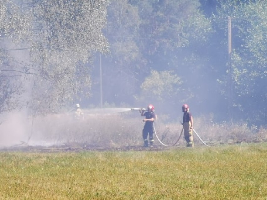 Dwa pożary pod Międzychodem - w niedzielę strażacy walczyli...