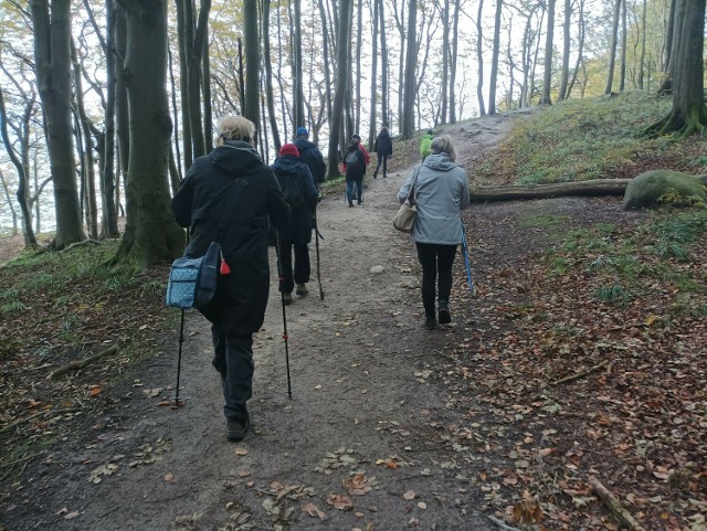 Ruch to zdrowie. Ważna jest aktywność na świeżym powietrzu, choćby marsze i zwykła turystyka z wykorzystaniem kijków nordic - walking.