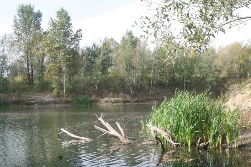 Znów marzy nam się kąpiel  na żwirowni Ostroga [ZDJĘCIA]