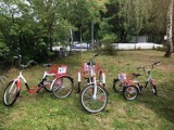 Darmowy rower dla osób niepełnosprawnych w Sopocie