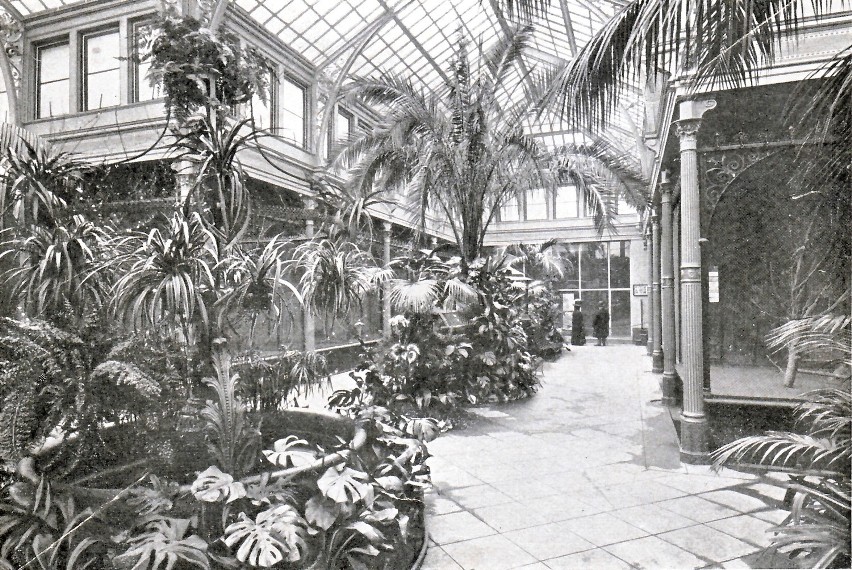 Wnętrze ptaszarni ok. 1890