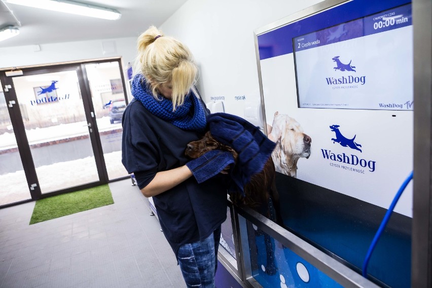 Wash Dog - W Warszawie powstała samoobsługowa myjnia dla...
