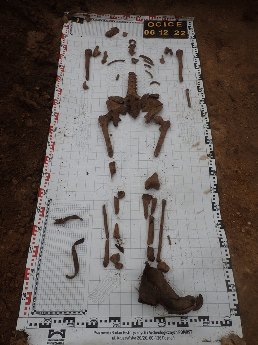 Szczątki żołnierzy znaleziono w Ocicach