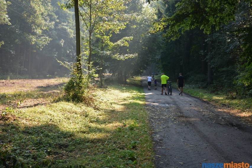 Parkrun Leszno w Karczmie Borowej w każą sobotę o godzinie...