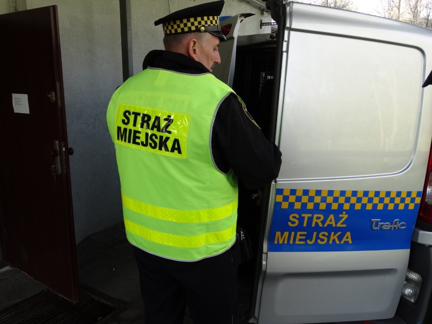 Ruda Śląska inwestuje w program bezpieczeństwa w mieście