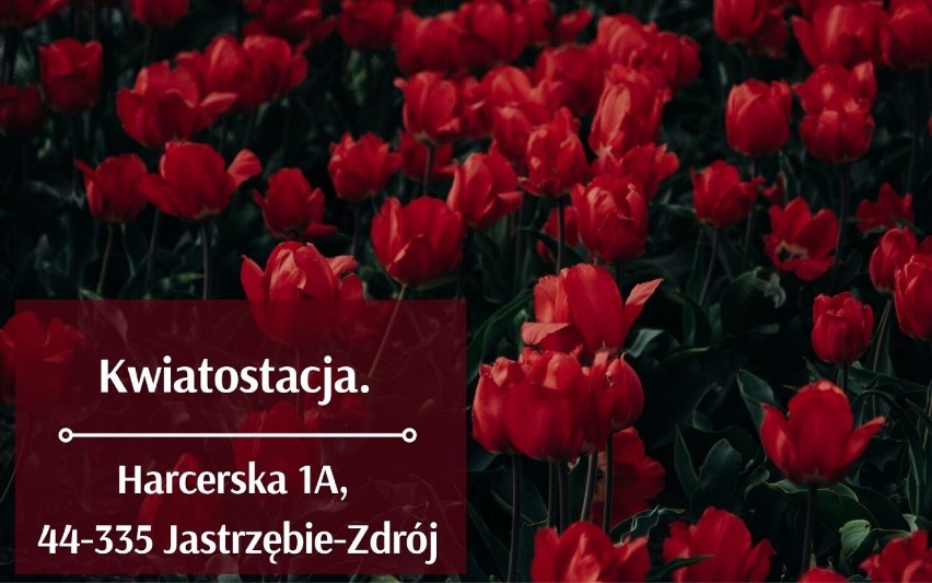 Najlepsze kwiaciarnie w Jastrzębiu-Zdroju. Naciśnij strzałkę...