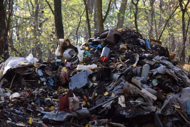 Leśnicy szacowali, że w lesie obok Słonego (gmina Świdnica) na powierzchni niemal 5 ha lasu zalega ok. 50 ton śmieci (sprzed AGD, opony, gruz, szkło itp.). Okazało się, że jest ich więcej
