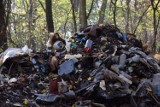 Ogromne składowiska śmieci w lesie przy Słonym. Leśnicy wraz z ZGK w Zielonej Górze utylizują nielegalne odpady zatruwające środowisko!