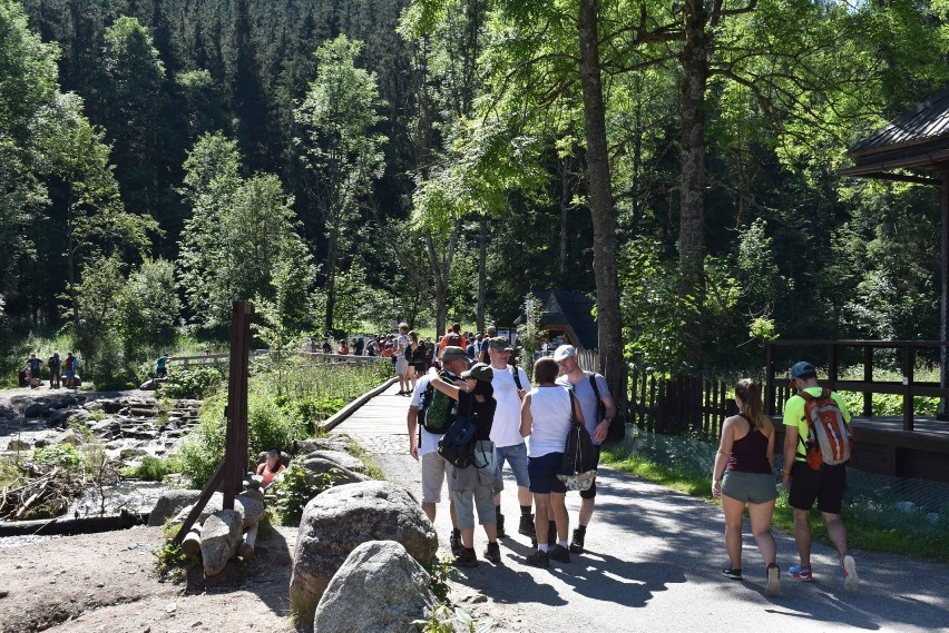 Zakopane. Coraz więcej turystów. Kolejki nawet na szlakach turystycznych [ZDJĘCIA] 29.07.