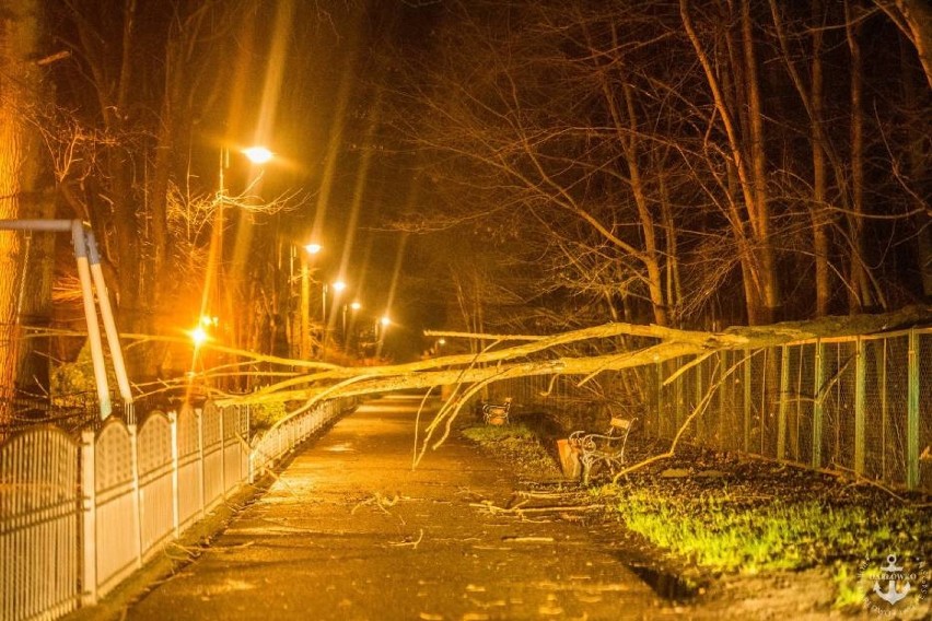 Silny wiatr na Pomorzu. Brak prądu, sztorm, usuwane drzewa, wypadki [AKTUALIZACJA]