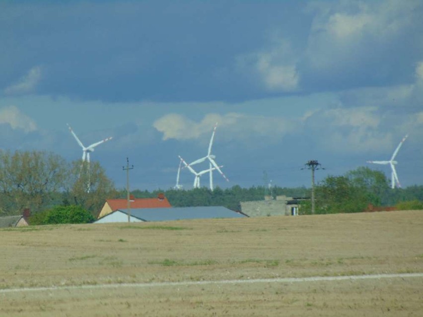 Miejscowości powiatu chodzieskiego: Radwanki [ZDJĘCIA]