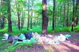 Ekologiczny patrol w Katowicach: Murcki: las, rezerwat, zieleń i wysypisko śmieci!