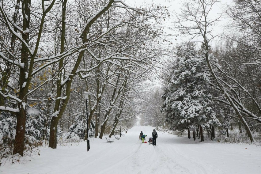 Atak zimy w Parku Śląskim. Jak tu biało! Zobaczcie zdjęcia