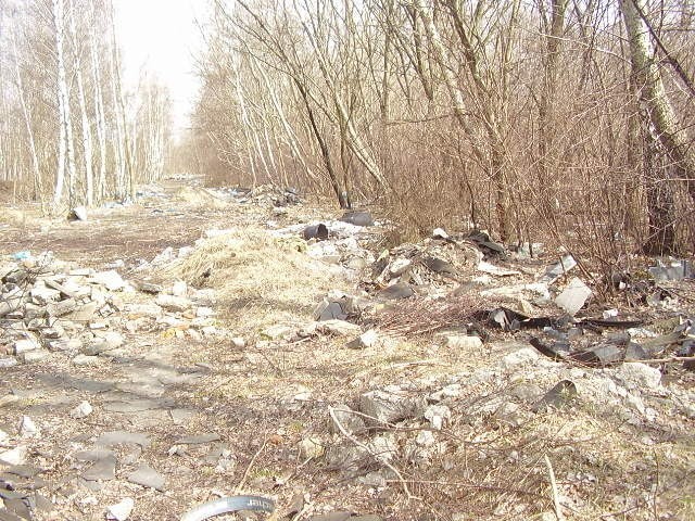 Patrol ekologiczny: Nasz Czytelnik wysłał zdjęcia dzikiego wysypiska w Świętochłowicach