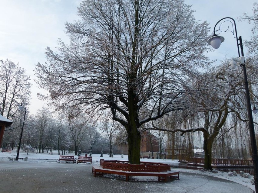 Park Miejski w Zduńskiej Woli w zimowej, śnieżnej odsłonie