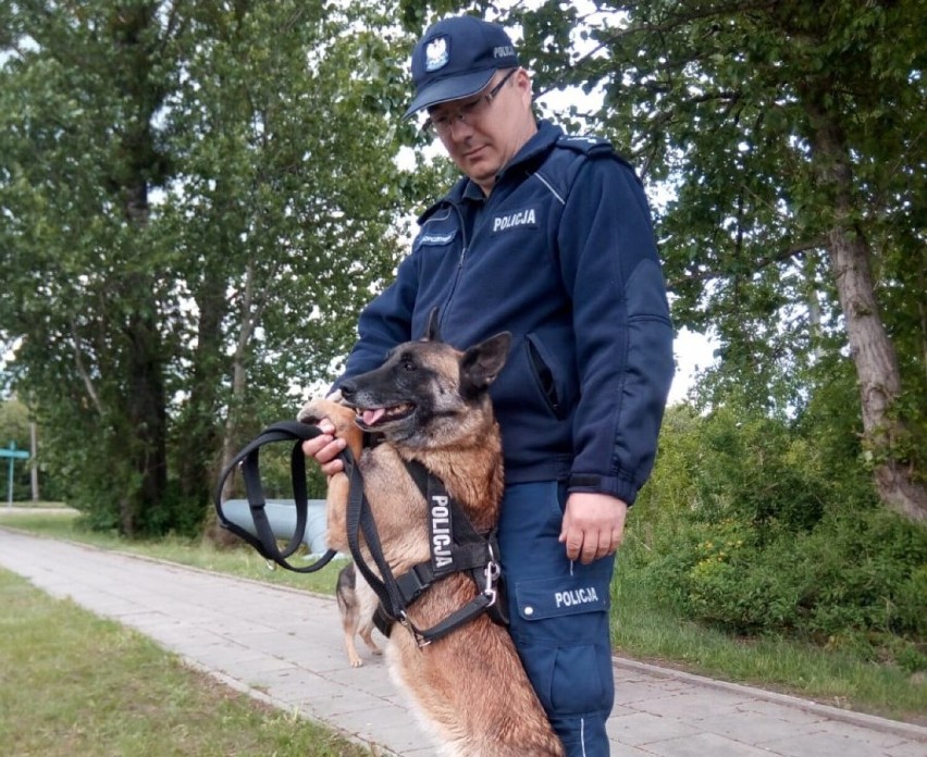 Młody mieszkaniec Łomży miał w domu prawie kilogram marihuany