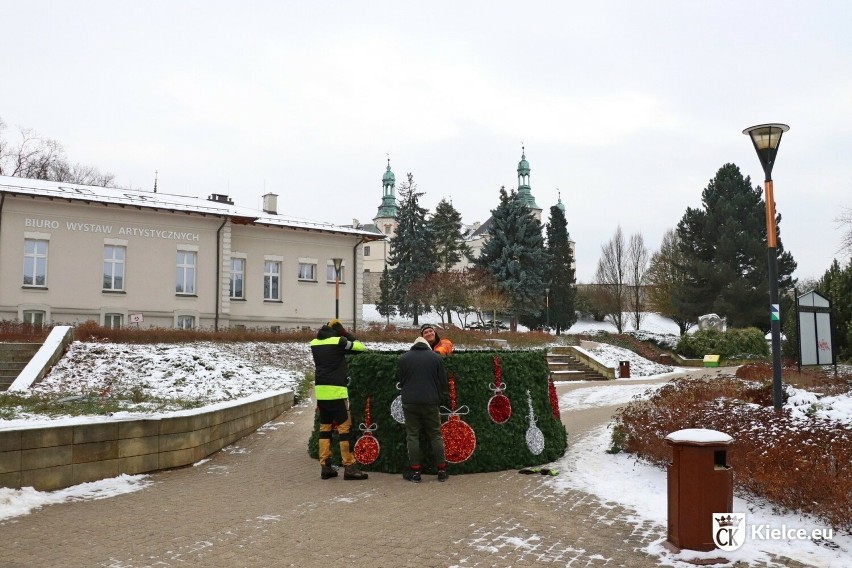 Choinka w Kielcach już prawie gotowa. W tym roku drzewko stanęło na placu Artystów. Zobacz zdjęcia