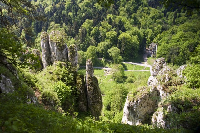 Ojcowski Park Narodowy
Około 30 km na północ od Krakowa znajduje się Ojców, który pod względem krajobrazowym można porównać jedynie do tatrzańskich lub pienińskich dolin. Uzupełnieniem przyrody jest tu piękna drewniana zabudowa - dwa zamki, młyny i kilka innych atrakcji. Miasteczko otacza Ojcowski Park Narodowy, który przyciąga niesamowitym krajobrazem, szlakami turystycznymi. Ważne punkty wycieczki to na pewno: Zamek w Ojcowie, Brama Krakowska, Jaskinia Ciemna, Grota Łokietka, Szlak zielony – Widokowy.

Dojazd z Krakowa to około 40 minut
