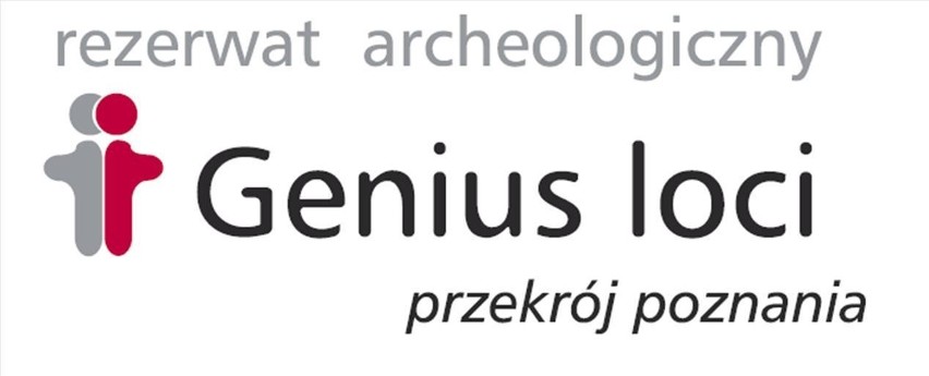 Poznań  - Otwarcie Rezerwatu Archeologicznego na Ostrowie Tumskim [ZDJĘCIA]