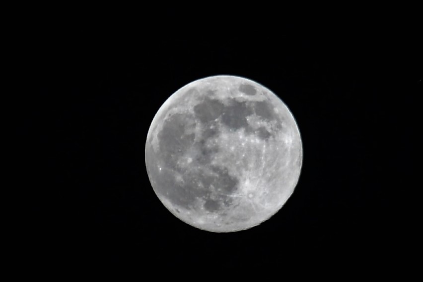 Pełnia Różowego Księżyca 2020 nad Włocławkiem [zdjęcia]