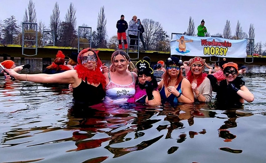 Morsy z Wrocławia kochają zimną wodę i... dobrą zabawę!