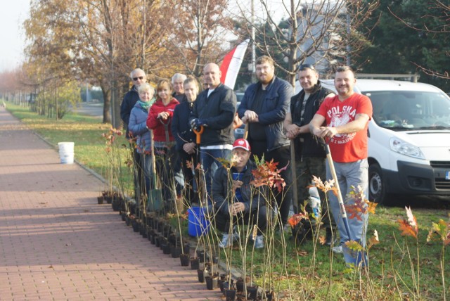 Kaliszanie posadzili sto dębów na stulecie niepodległości Polski