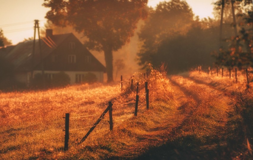 Piękno naszego regionu okiem Crisa Froese. Zobacz te zdjęcia! [GALERIA]