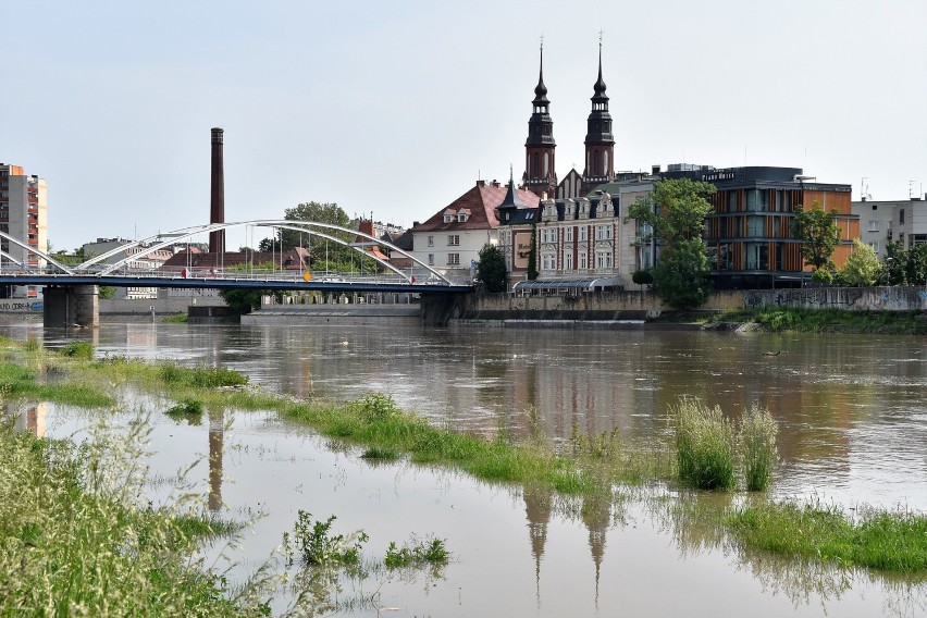 Fala na Odrze w Opolu. Rzeka wylewa się z koryta, przykryła...