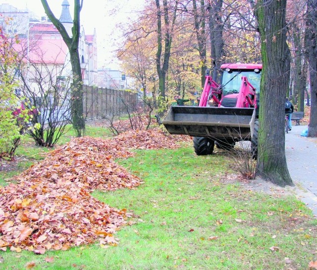 Usuwaniem liści z miejskich parków zajmują się służby komunalne