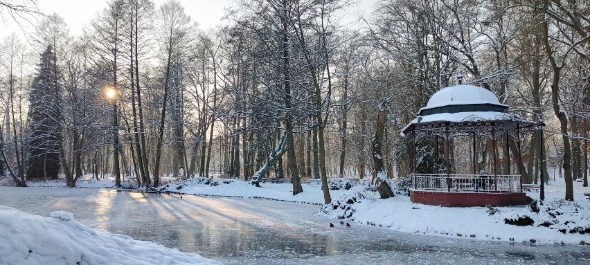 Park Miejski zimą