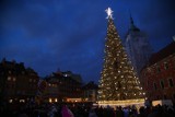 Najpiękniejsze choinki w Warszawie. Która dzielnica ma najładniejsze drzewko? [ZDJĘCIA]