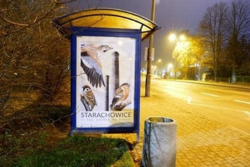 Wyjątkowe plakaty zawisły na przystankach autobusowych w Starachowicach. Mają... wywołać uśmiech (ZDJĘCIA)