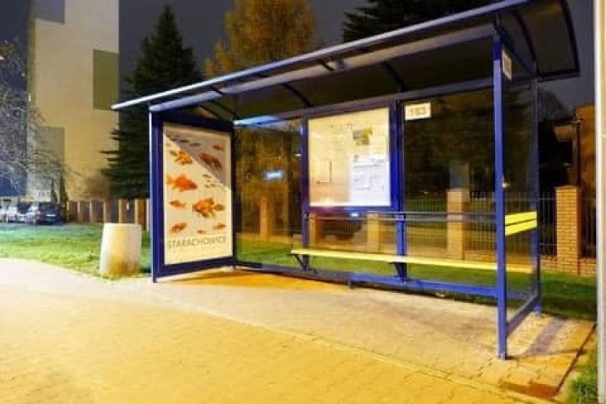 Wyjątkowe plakaty zawisły na przystankach autobusowych w Starachowicach. Mają... wywołać uśmiech (ZDJĘCIA)